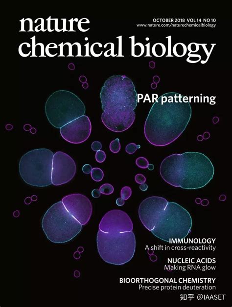 Nature封面图 的图像结果