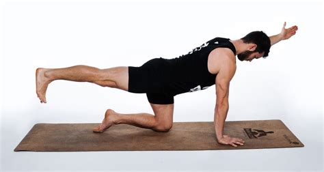 Bird Dog Exercise Move 的图像结果