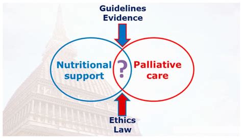 The Role of Nutritional Support for Cancer Patients in Palliative Care