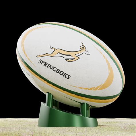 Image result for Springbok Rugby Ball