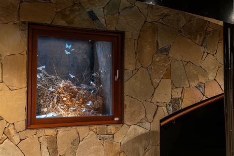 Photo 15 of 18 in Casa Campo by paul field - Dwell