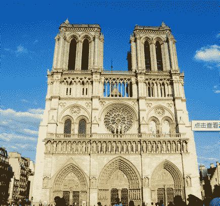 巴黎圣母院-初中历史-n多题