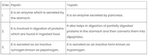 10+ Key Difference Between Pepsin and Trypsin - Biology Notes