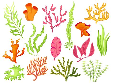 Premium Vector | Seaweed cartoon seaweeds kelp and corals aquatic ...
