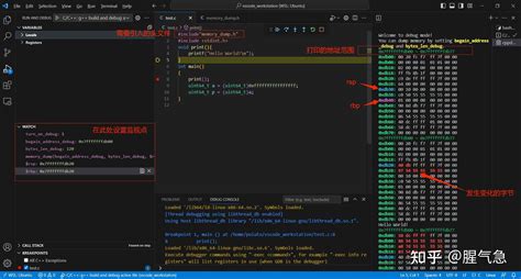 vs Code C Debug 的图像结果