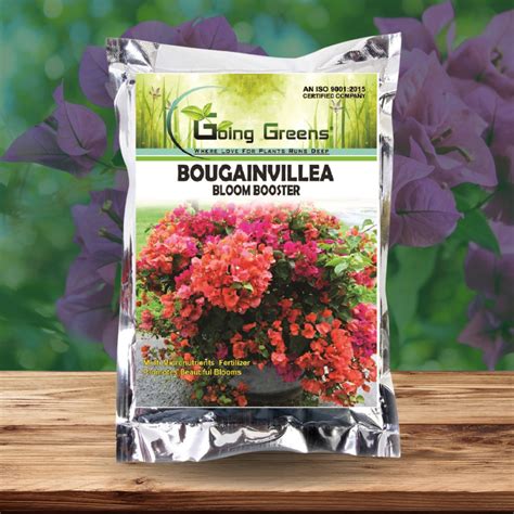 Bougainvillea Bloom Booster - The Ultimate Bougainvillea Fertilizer ...