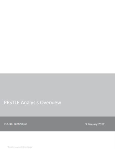 Pestle Analysis Example 的图像结果