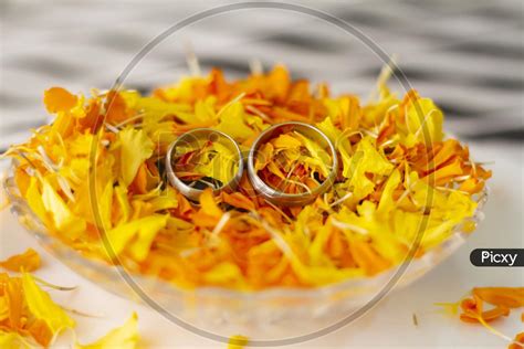 Image of Two Platinum Engagement Or Wedding Rings Isolated On Flowers ...