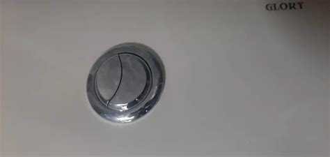 Image result for Toilet Push Button Types