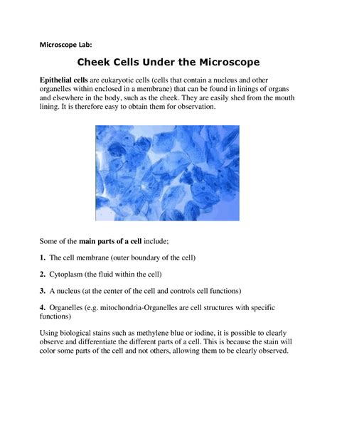 Cheeks Cells Under a Compound Microscope 的图像结果