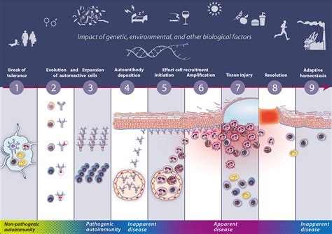 Autoimmunity 的图像结果