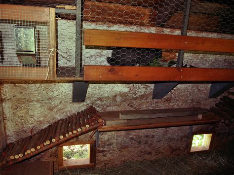 DIY Rabbit Colony 的图像结果