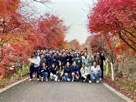 It’s time for the annual Yulab Qixia Mountain red leaf viewing event again!