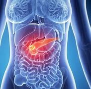 Image result for pancreas pain