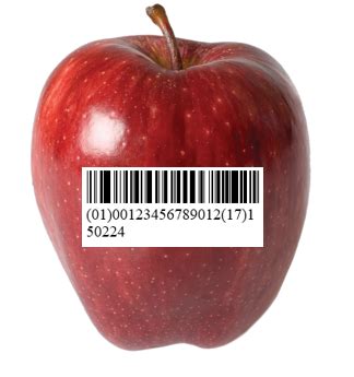 Image result for Application Program Identifier