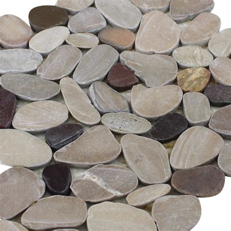 Rain Forest pebble tiles Tan, brown and cherry 12-in x 12-in Honed ...