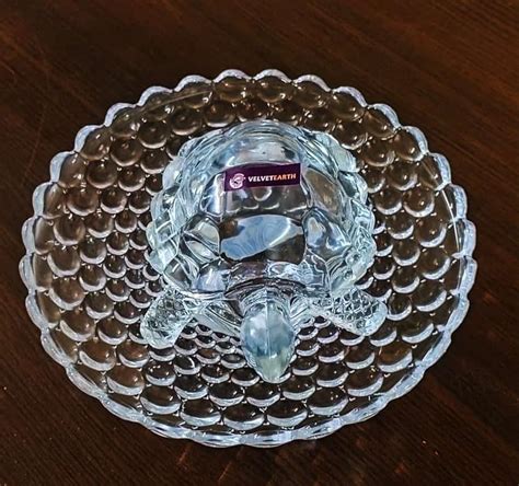 Buy VELVETEARTH ® Glass Turtle with Beautiful Bowl Plate | Fengshui ...