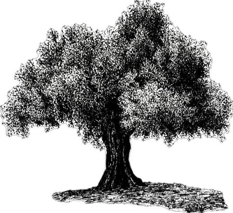 Draw a Tree 的图像结果