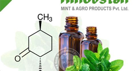 Natural Menthone Manufacturer Exporter India USA CAS 14073-97-3