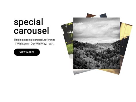 Image result for JavaScript 3D Cover Flow