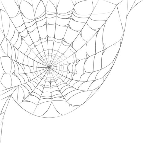 Spiderman Web PNG Transparent Images