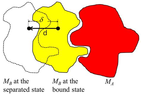 Binding Direction-Based Two-Dimensional Flattened Contact Area ...