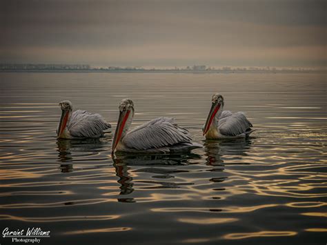 Exhibition Acceptances – Geraint's Photography