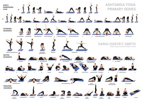 What Are The Types Of Yoga Poses at Victoria Thomason blog