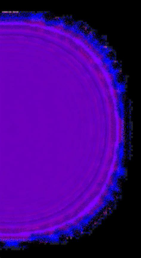 Qapita: Equity Management Solutions for Founders