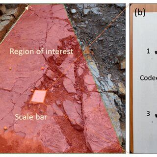 Image result for Calculation Using Scale Bar