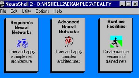 Image result for NeuroShell