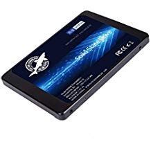 Amazon.in: Buy Dogfish 240GB Internal SSD, SATA 3, 6Gb/s, High ...