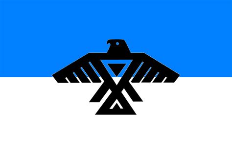 Unveiling the Ojibwe Flag: A Journey Through History and Symbolism