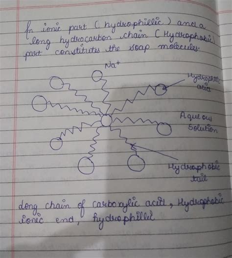 Explain mechanism of cleansing action of soaps - Brainly.in