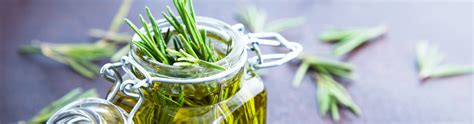 Minoxidil vs Rosemary: Which Works Better for Hair Growth? - Just One