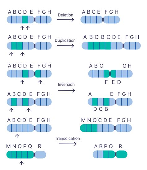 Mutations · Hyperskill