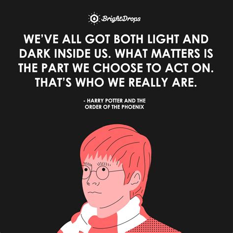 Phoenix Harry Potter Quotes