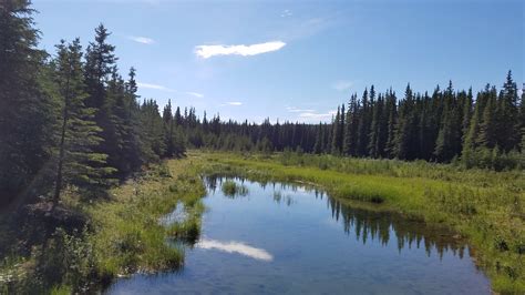 Swamp 的图像结果