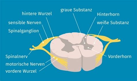 Image result for HTML and CSS and JavaScript