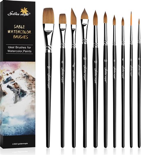 Watercolor Brushes Watercolour Paint Brushes 10 Pcs Professional ...