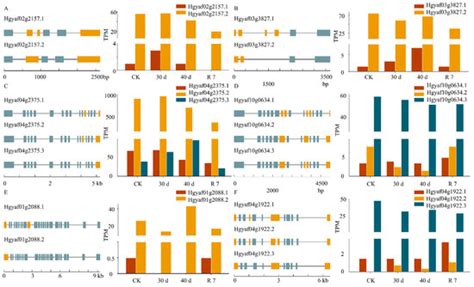 Alternative Splicing Events and ABA Hormone Regulation in Drought ...
