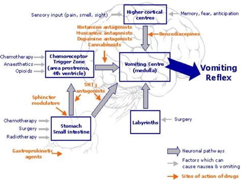 Vomiting