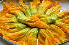 fiori di zucchina ripieni salsapariglia fiori di zucchina ripieni fiori di zucchina ripieni salsapariglia fiori di zucchina ripieni