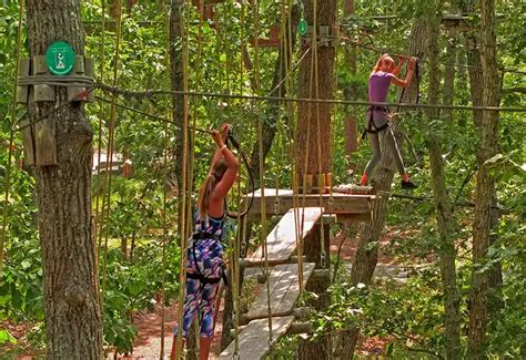 High Rope Course in Jim Corbett - Book Now @ Rs.400 (28% off)