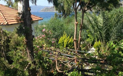 ASKIN PENSION (Bozburun) - B&B Reviews & Photos - Tripadvisor