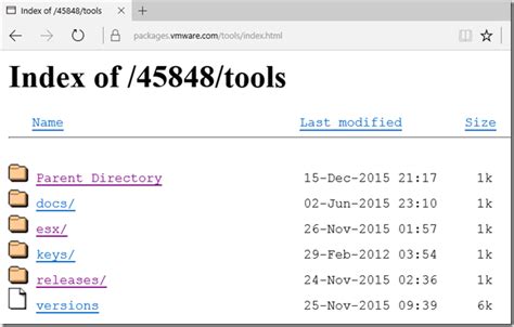 VMware Windows NT 的图像结果