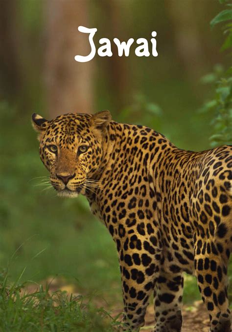 Best Trekking Tour Travel Company | Venture Adventure