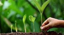 Agridoc Industries — Empowering Farmers, Enriching Fields