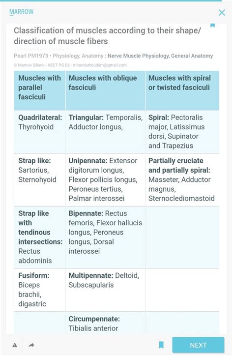 Image result for Muscle Structure Classifications