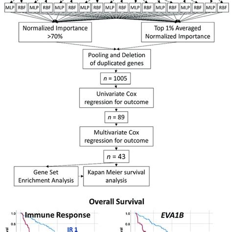 Image result for Lymphgen Algorithm